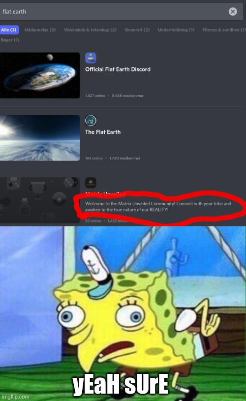 its legit on discord | yEaH sUrE | image tagged in spongebob mockingbird | made w/ Imgflip meme maker