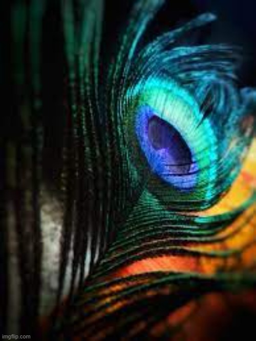 image tagged in awesome | made w/ Imgflip meme maker