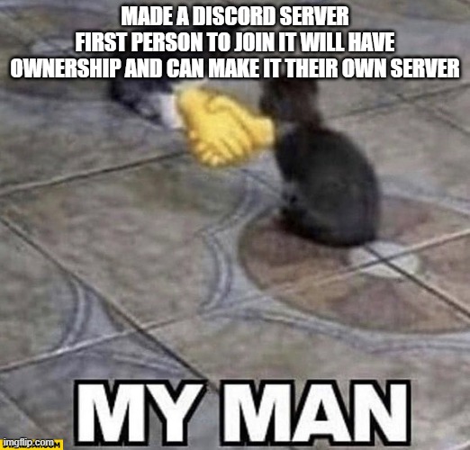incoming deal | MADE A DISCORD SERVER
FIRST PERSON TO JOIN IT WILL HAVE OWNERSHIP AND CAN MAKE IT THEIR OWN SERVER | image tagged in cats shaking hands | made w/ Imgflip meme maker