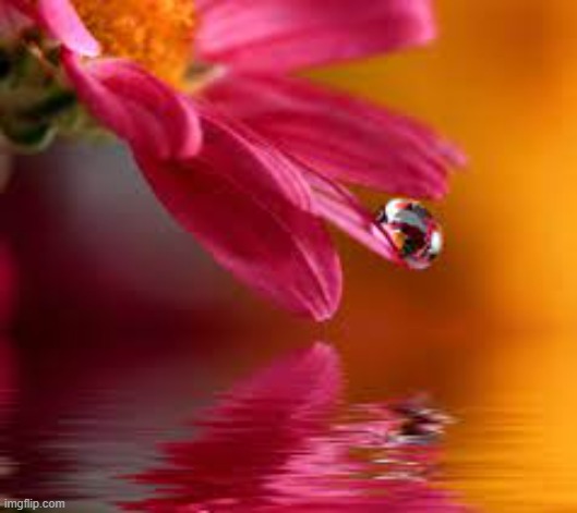 image tagged in awesome | made w/ Imgflip meme maker