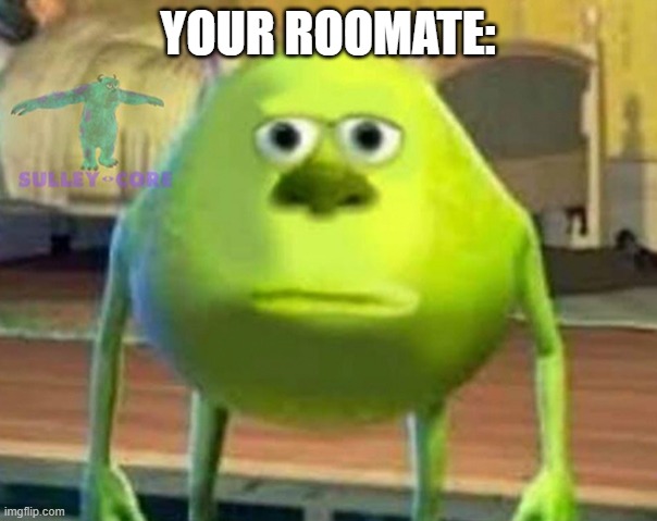 Monsters Inc | YOUR ROOMATE: | image tagged in monsters inc | made w/ Imgflip meme maker