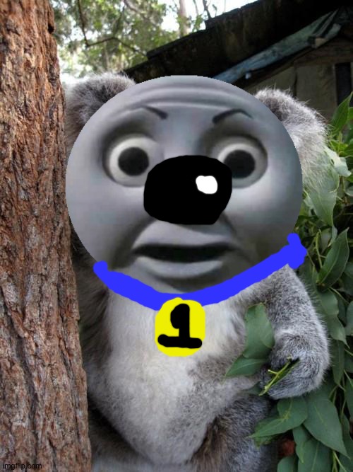 Thomas the Koala | image tagged in memes,surprised koala | made w/ Imgflip meme maker