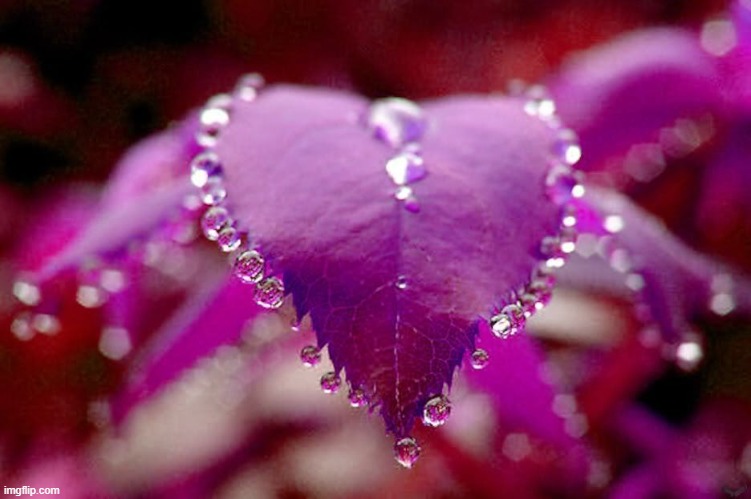 image tagged in awesome | made w/ Imgflip meme maker