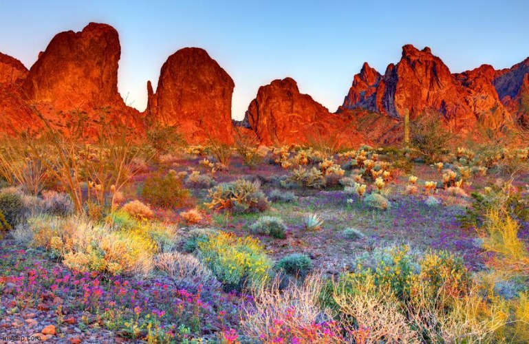 image tagged in awesome | made w/ Imgflip meme maker