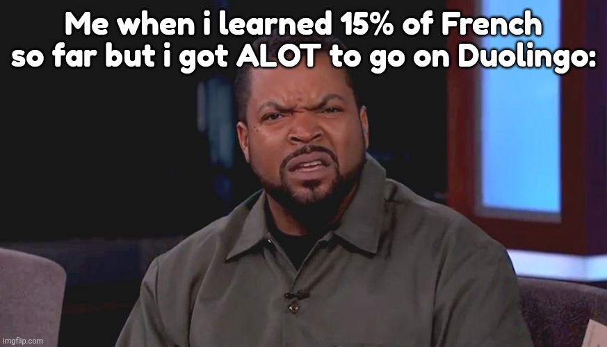 Really? Ice Cube | Me when i learned 15% of French so far but i got ALOT to go on Duolingo: | image tagged in really ice cube | made w/ Imgflip meme maker