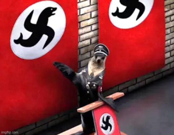 oh NoOOOoooooOoooo | image tagged in nazi seals | made w/ Imgflip meme maker