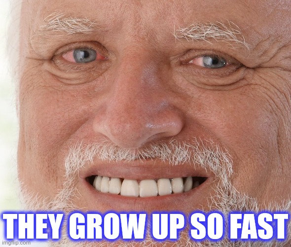 Hide the Pain Harold | THEY GROW UP SO FAST | image tagged in hide the pain harold | made w/ Imgflip meme maker