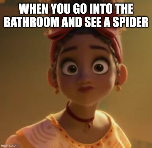 Dolores Encanto | WHEN YOU GO INTO THE BATHROOM AND SEE A SPIDER | image tagged in dolores encanto | made w/ Imgflip meme maker