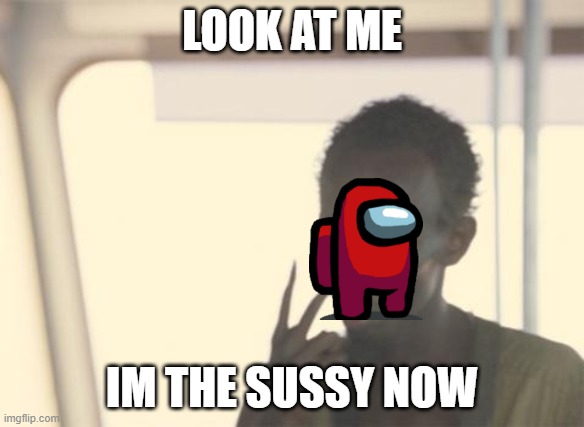 wut...? | LOOK AT ME; IM THE SUSSY NOW | image tagged in memes,i'm the captain now,amogus,amongus,among us | made w/ Imgflip meme maker