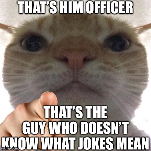 Cat point at you | THAT’S HIM OFFICER THAT’S THE GUY WHO DOESN’T KNOW WHAT JOKES MEAN | image tagged in cat point at you | made w/ Imgflip meme maker