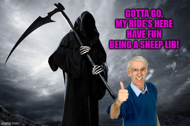 Death | GOTTA GO, MY RIDE'S HERE
HAVE FUN BEING A SHEEP LIB! | image tagged in death | made w/ Imgflip meme maker