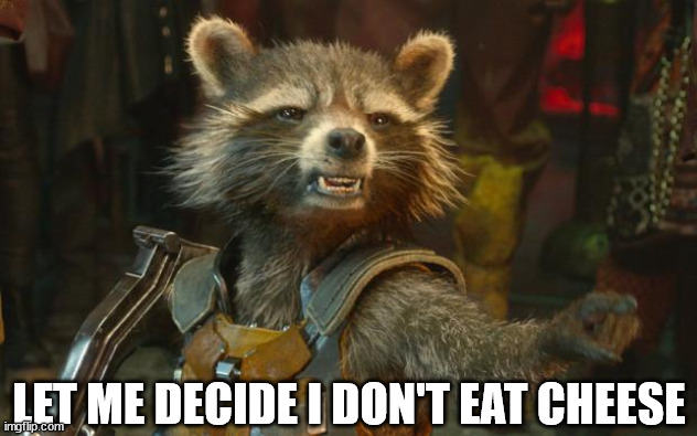 Rocket Raccoon | LET ME DECIDE I DON'T EAT CHEESE | image tagged in rocket raccoon | made w/ Imgflip meme maker