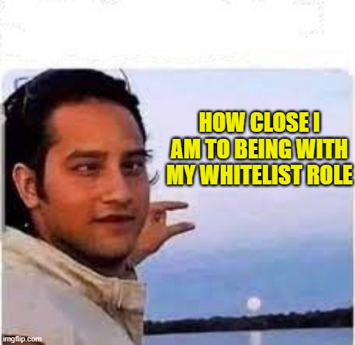 HOW CLOSE | HOW CLOSE I AM TO BEING WITH MY WHITELIST ROLE | image tagged in funny memes | made w/ Imgflip meme maker