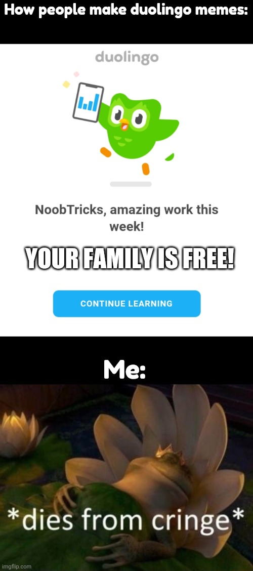 *dies of shitpost* | How people make duolingo memes:; YOUR FAMILY IS FREE! Me: | image tagged in duolingo amazing work,dies of cringe,duolingo,stop,memes,no | made w/ Imgflip meme maker