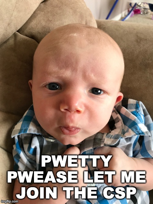 Pretty please | PWETTY PWEASE LET ME JOIN THE CSP | image tagged in pretty please | made w/ Imgflip meme maker