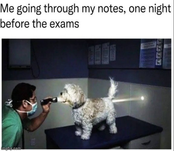 image tagged in memes,notes,exams | made w/ Imgflip meme maker