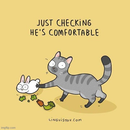 A Cat's Way Of Thinking | image tagged in memes,comics,cats,rabbit,just,vibe check | made w/ Imgflip meme maker