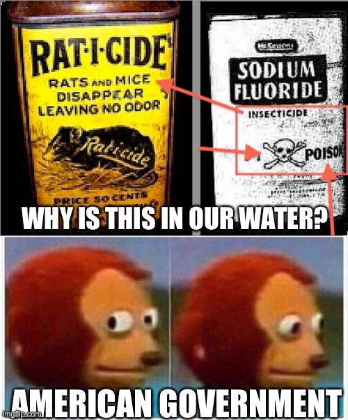 Good old fluoride poisoning to keep us dumb and sick. But hey, that funds big pharmacy | WHY IS THIS IN OUR WATER? AMERICAN GOVERNMENT | image tagged in memes,monkey puppet | made w/ Imgflip meme maker