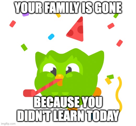 I said go and learn | YOUR FAMILY IS GONE; BECAUSE YOU DIDN'T LEARN TODAY | image tagged in duolingo bird,things duolingo teaches you,duolingo | made w/ Imgflip meme maker