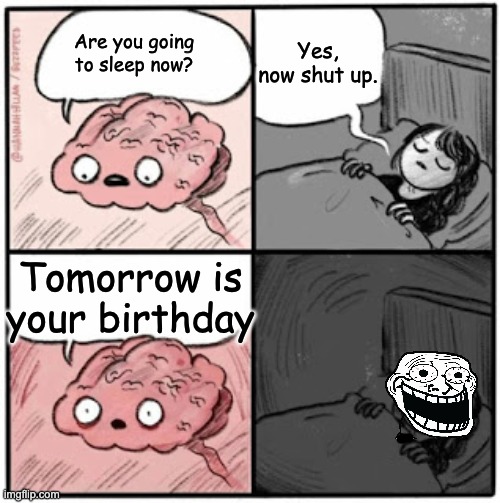 Can't sleep ;-; | Yes, now shut up. Are you going to sleep now? Tomorrow is your birthday | image tagged in brain before sleep,birthday,memes | made w/ Imgflip meme maker