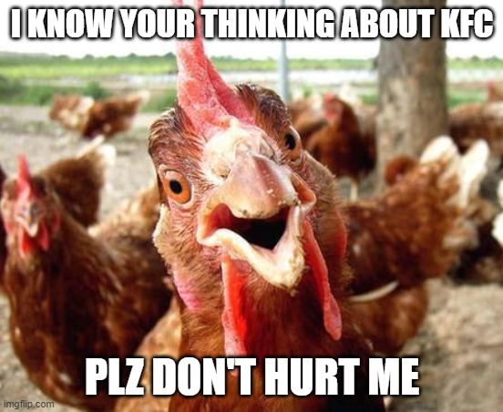 Chicken | I KNOW YOUR THINKING ABOUT KFC; PLZ DON'T HURT ME | image tagged in chicken | made w/ Imgflip meme maker