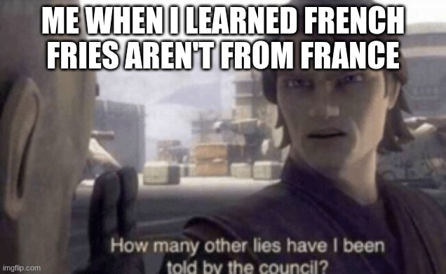 FUKIN HEELLLLL | ME WHEN I LEARNED FRENCH FRIES AREN'T FROM FRANCE | image tagged in how many other lies have i been told by the council,memes | made w/ Imgflip meme maker