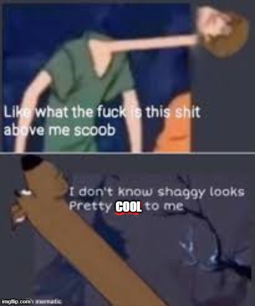 degenerate shit | COOL | image tagged in degenerate shit | made w/ Imgflip meme maker
