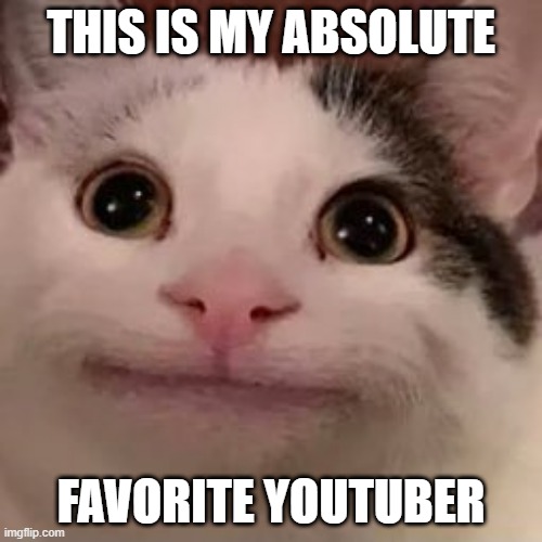 BEST YOUTUBER EVER | THIS IS MY ABSOLUTE; FAVORITE YOUTUBER | image tagged in beluga,cat,amazing,youtuber | made w/ Imgflip meme maker