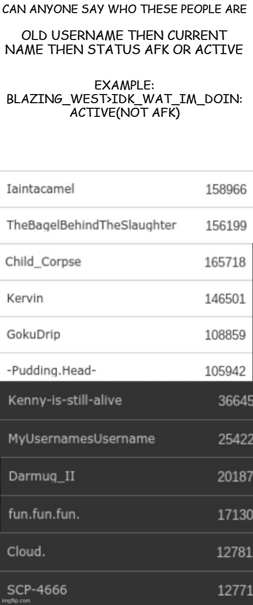 PLS | CAN ANYONE SAY WHO THESE PEOPLE ARE; OLD USERNAME THEN CURRENT NAME THEN STATUS AFK OR ACTIVE; EXAMPLE: BLAZING_WEST>IDK_WAT_IM_DOIN: ACTIVE(NOT AFK) | image tagged in blank white template,memes,funny,not funny,msmg | made w/ Imgflip meme maker