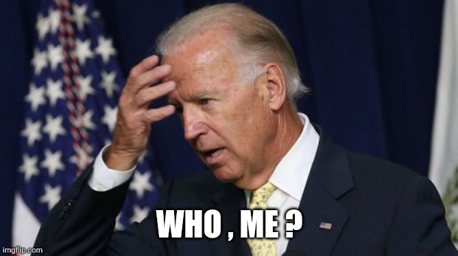 Joe Biden worries | WHO , ME ? | image tagged in joe biden worries | made w/ Imgflip meme maker