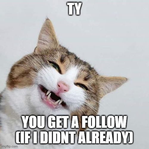 happy cat | TY YOU GET A FOLLOW (IF I DIDNT ALREADY) | image tagged in happy cat | made w/ Imgflip meme maker