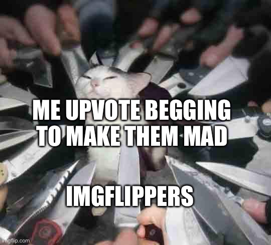 Knife Cat | ME UPVOTE BEGGING TO MAKE THEM MAD; IMGFLIPPERS | image tagged in knife cat | made w/ Imgflip meme maker