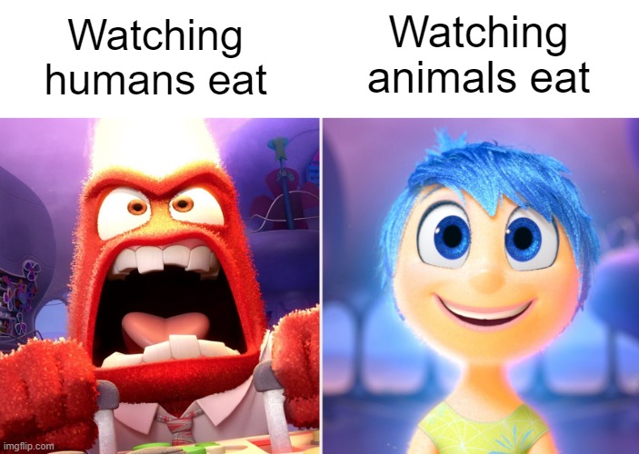It's all just chomping and smacking | Watching humans eat; Watching animals eat | image tagged in memes,inside out | made w/ Imgflip meme maker