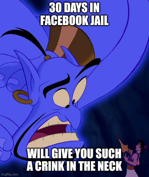 Facebook jail |  30 DAYS IN FACEBOOK JAIL; WILL GIVE YOU SUCH A CRINK IN THE NECK | image tagged in alladin,facebook jail | made w/ Imgflip meme maker