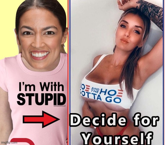 I'm with Stupid !!! | image tagged in i'm with stupid | made w/ Imgflip meme maker