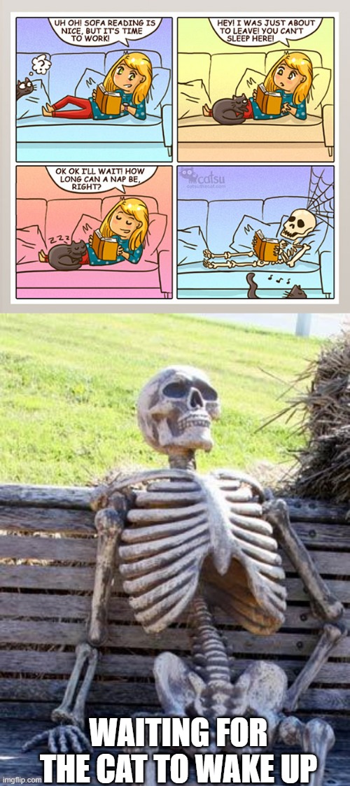 -.- | WAITING FOR THE CAT TO WAKE UP | image tagged in memes,waiting skeleton,funny,not memes,comics,only one meme actually | made w/ Imgflip meme maker