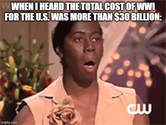 ww1 knowledge | WHEN I HEARD THE TOTAL COST OF WWI FOR THE U.S. WAS MORE THAN $30 BILLION: | image tagged in funny | made w/ Imgflip meme maker