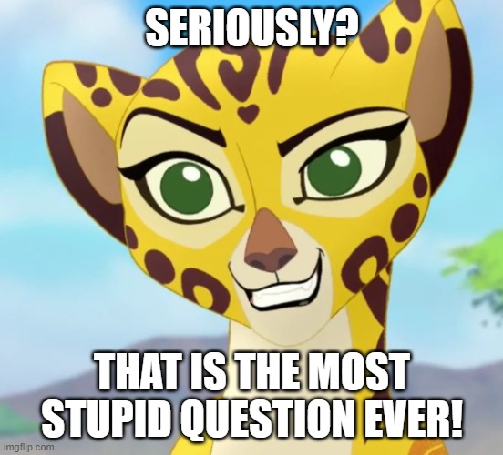 Fuli | SERIOUSLY? THAT IS THE MOST STUPID QUESTION EVER! | image tagged in fuli approves | made w/ Imgflip meme maker