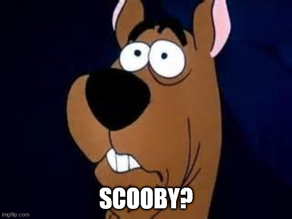 Scooby Doo Surprised | SCOOBY? | image tagged in scooby doo surprised | made w/ Imgflip meme maker