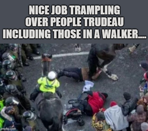 Freedom For Us All |  NICE JOB TRAMPLING OVER PEOPLE TRUDEAU INCLUDING THOSE IN A WALKER.... | image tagged in memes,freedom,trudeau,tyrant,dictator,meanwhile in canada | made w/ Imgflip meme maker