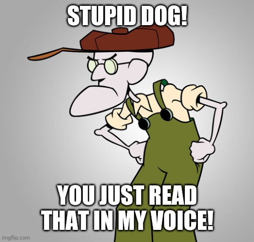 ;) |  STUPID DOG! YOU JUST READ THAT IN MY VOICE! | image tagged in stupid dog,eustace,eustace bagge,courage,courage the cowardly dog,childhood | made w/ Imgflip meme maker