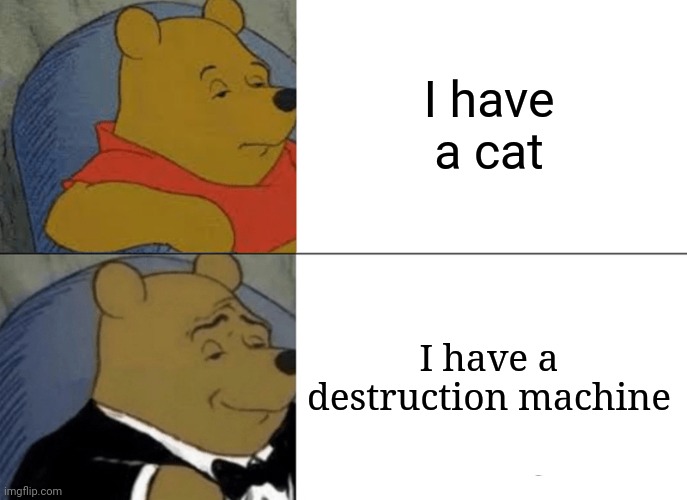 same thing | I have a cat; I have a destruction machine | image tagged in memes,tuxedo winnie the pooh | made w/ Imgflip meme maker