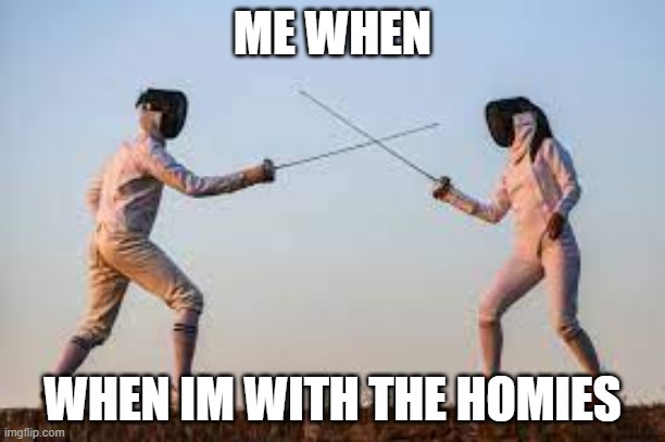 THE HOMIES AND I | ME WHEN; WHEN IM WITH THE HOMIES | image tagged in my opinion is better | made w/ Imgflip meme maker