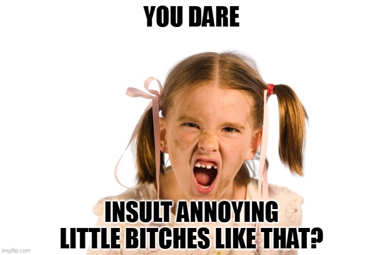 YOU DARE INSULT ANNOYING LITTLE BITCHES LIKE THAT? | made w/ Imgflip meme maker