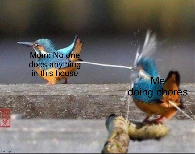 birds | Mom: No one does anything in this house; Me doing chores | image tagged in birds | made w/ Imgflip meme maker