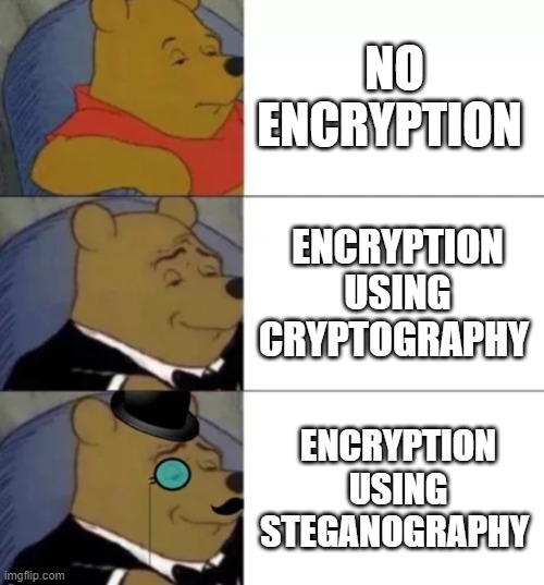 Cryptography and Steganography | NO ENCRYPTION; ENCRYPTION USING CRYPTOGRAPHY; ENCRYPTION USING STEGANOGRAPHY | image tagged in fancy pooh,cryptography,steganography,encryption,text | made w/ Imgflip meme maker