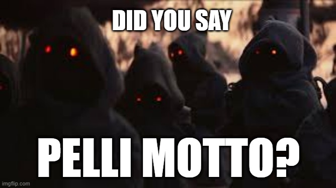 DID YOU SAY; PELLI MOTTO? | image tagged in star wars meme | made w/ Imgflip meme maker