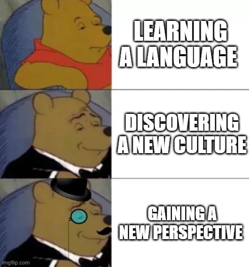 Learning a language |  LEARNING A LANGUAGE; DISCOVERING A NEW CULTURE; GAINING A NEW PERSPECTIVE | image tagged in fancy pooh,language,learning,culture,perspective | made w/ Imgflip meme maker