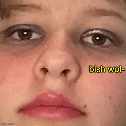 bish wot- | made w/ Imgflip meme maker