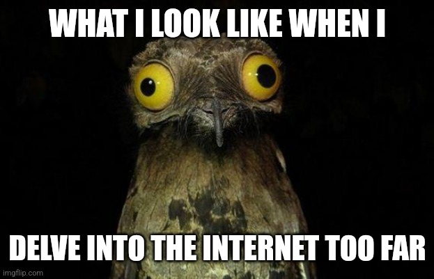 Careful what you search for |  WHAT I LOOK LIKE WHEN I; DELVE INTO THE INTERNET TOO FAR | image tagged in memes,weird stuff i do potoo,rule 34,google search,google images,my eyes | made w/ Imgflip meme maker